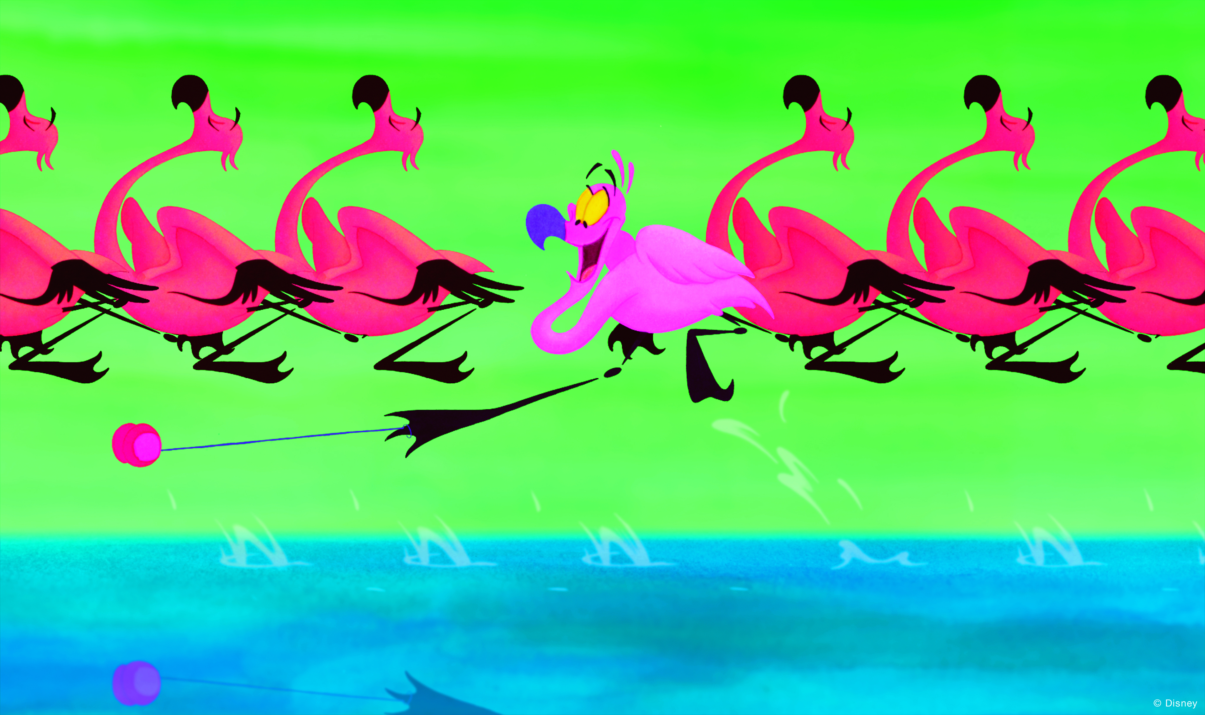 Dances with Flamingos, Disney Wiki