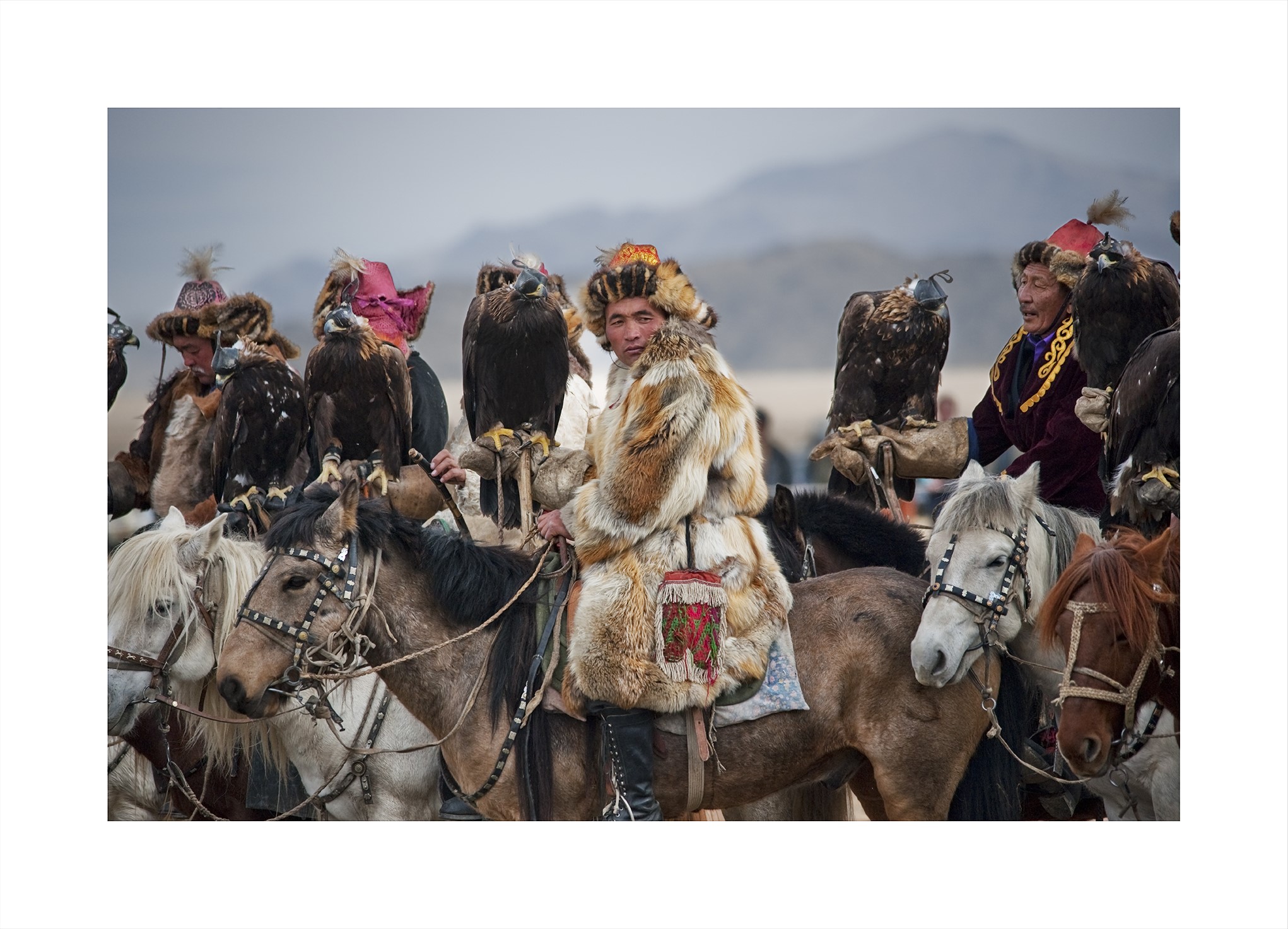 Soaring: The Golden Eagle Festival of Mongolia | Willoughby City Council