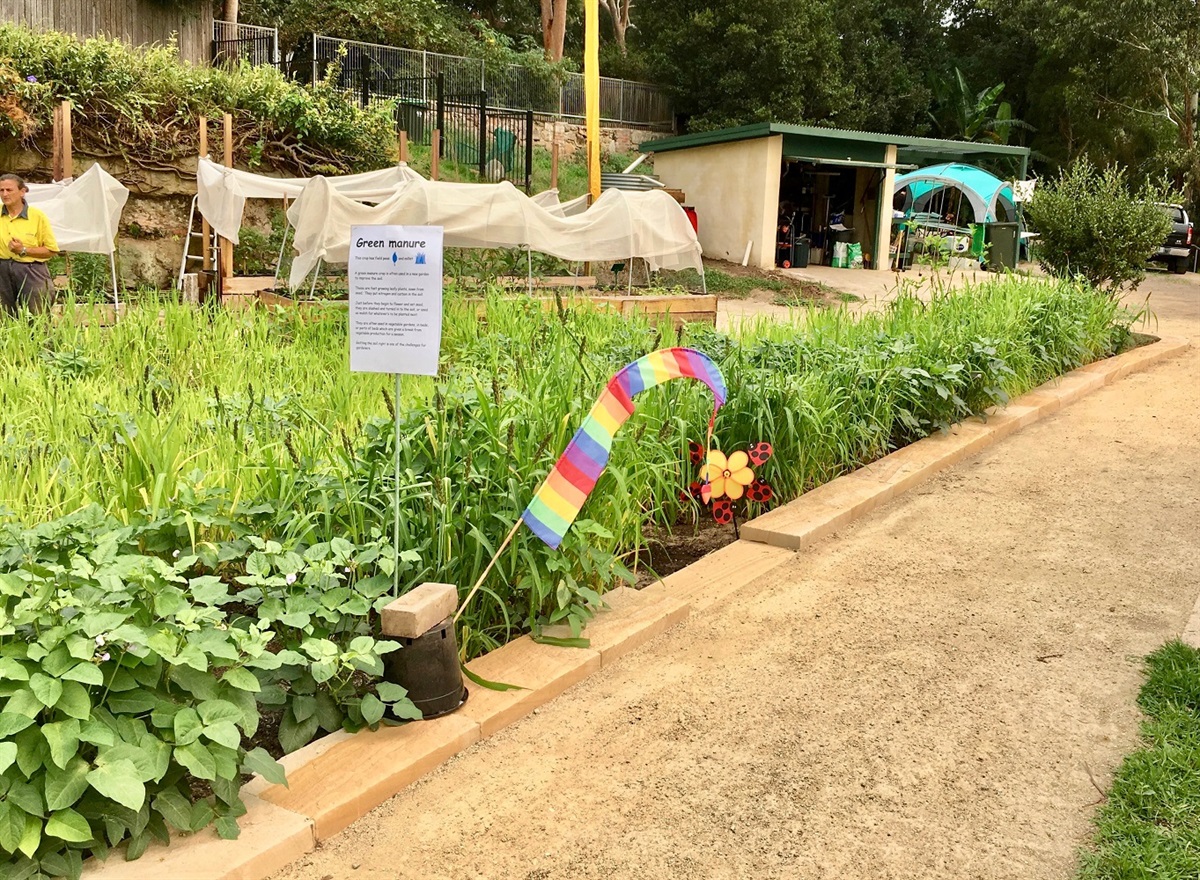 Artarmon Parklands Community Garden Willoughby City Council