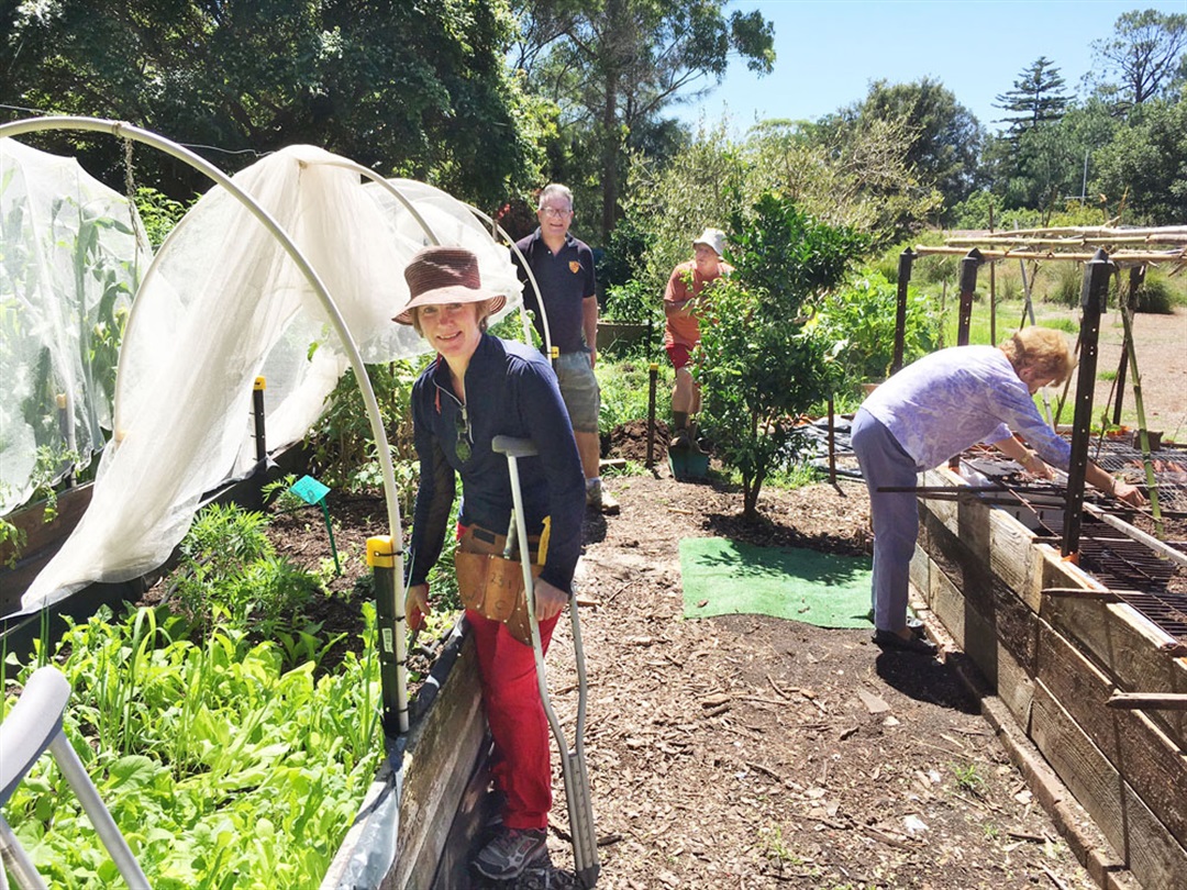 Warners Park Community Garden | Willoughby City Council