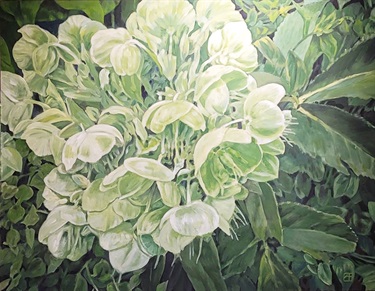 Alan Tung - Flowering Season
