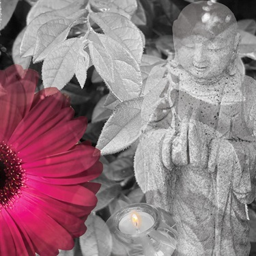 Magical Moments - Flower Buddha