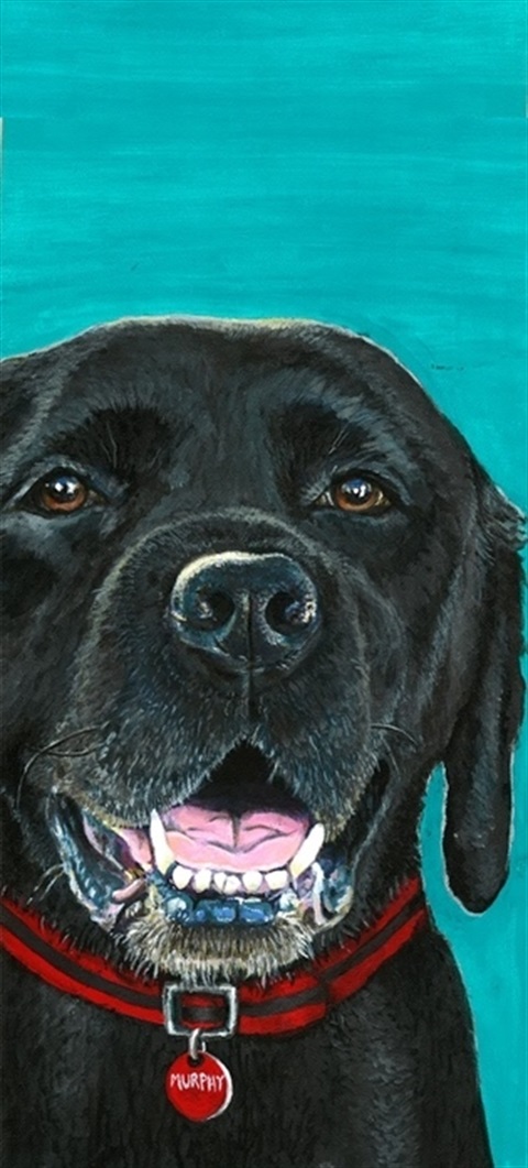 Murphy by Shona Parker Archipaws winner  2018 