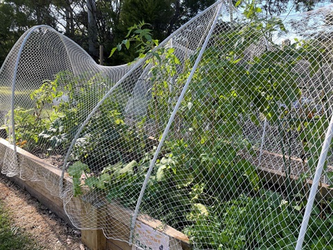 Flat Rock Gully Community Garden