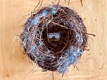 Jude Fowler-Smith, 'Home', 2024, found birds nest - vine, leaves and twigs, photo framed in metal and perspex,