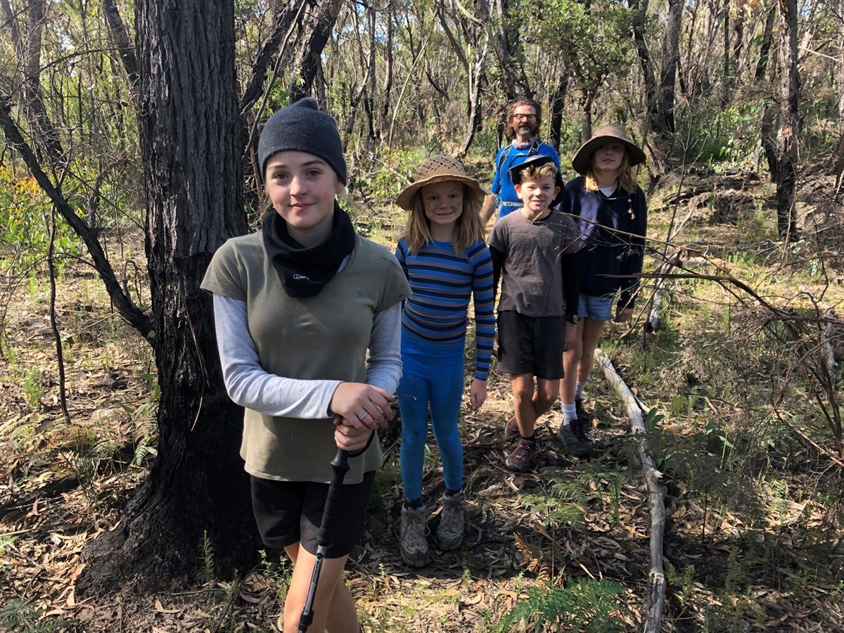 Family Bush Walk | Willoughby City Council